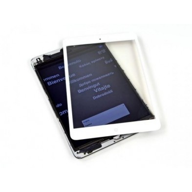 Shermo LCD per iPad mini