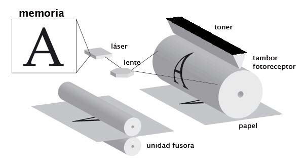 Funcionamiento del tambor laser en una impresora